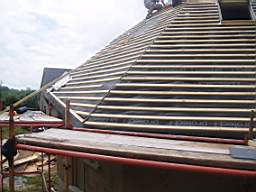 tullahemp 2420.jpg